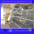 2015 china electro (caliente) galvanizado huevo gallina capa jaula de batería